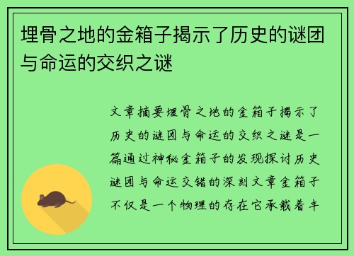 埋骨之地的金箱子揭示了历史的谜团与命运的交织之谜